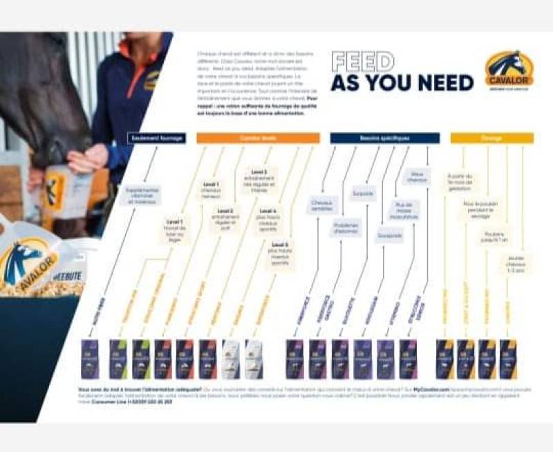 Achat complément alimentaire pour chevaux de sport à Casteljaloux proche de Marmande