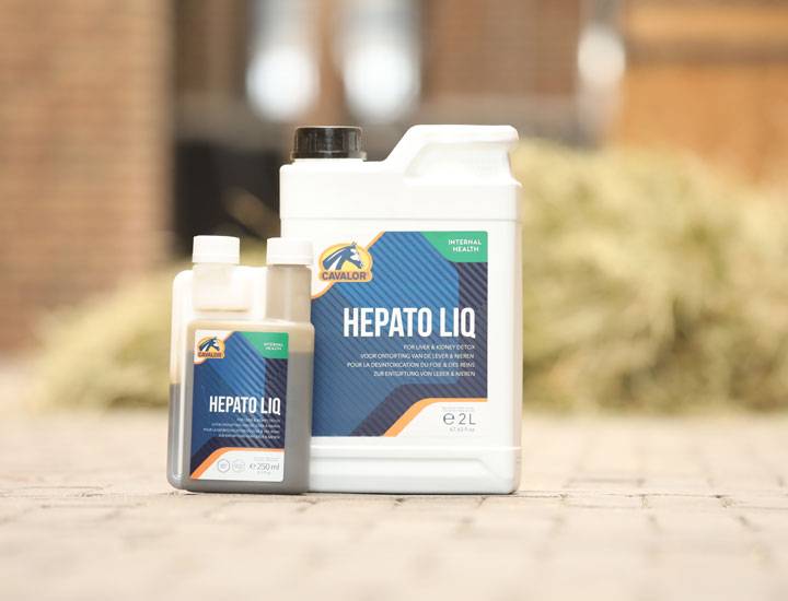 Complément alimentaire pour cheval au pré à Bordeaux en Gironde (33)