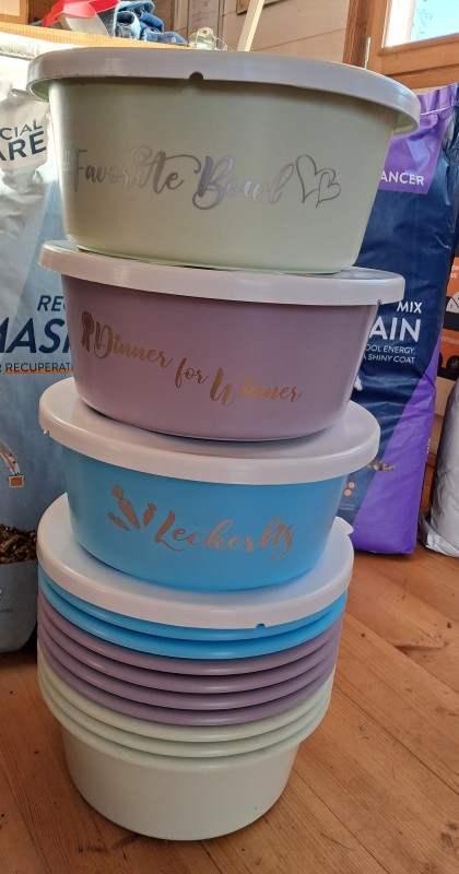 Seau 5 litres avec couvercle à Landiras chez Animal passion 33