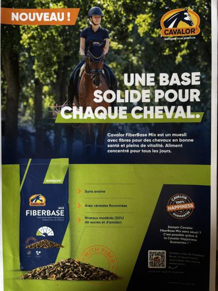 nourriture saine avec céréales floconnées et fibres secteur Langon