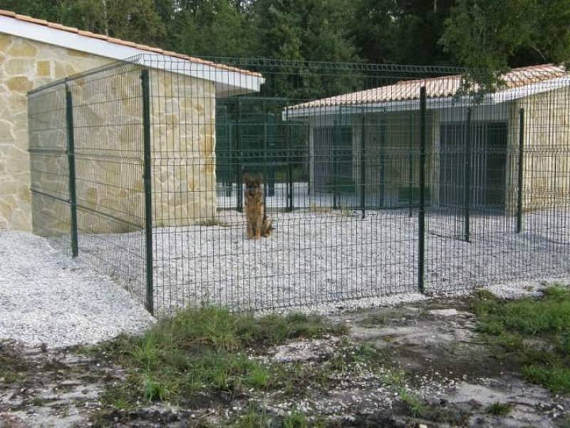 Pension canine secteur Langon avec parc et maisonnette individuel 