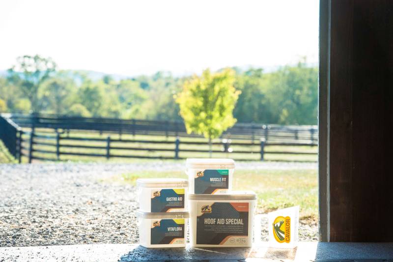 Compléments pour chevaux avec conseils personnalisés prés de Bazas 