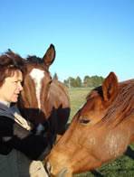 pension retraite pour chevaux en Sud Gironde