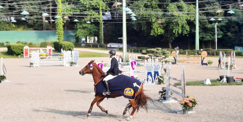 vous souhaitez acheter ou etre conseillé sur l'alimentation, les soins et compléments chevaux en Aquitaine
