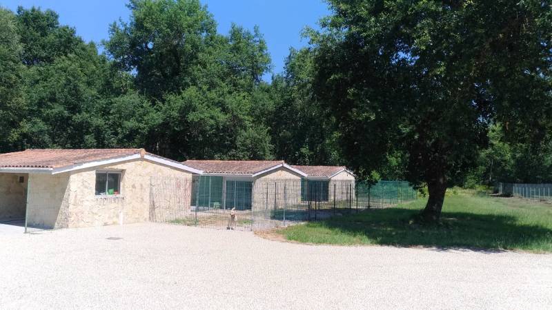 faire garder mon chien pendant les vacances en Sud Gironde