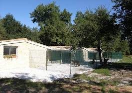 pension pour chien toute race avec maison et jardin individuel à Landiras en Sud Gironde