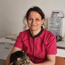 vétérinaire à saint morillon proche de landiras