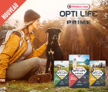 Nos prestations sur le secteur de Bordeaux en Gironde (33)