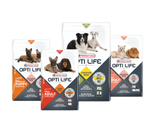 Nos prestations sur le secteur de Léognan proche de la Brède