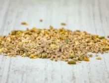 Nos prestations sur le secteur de Casteljaloux proche de Marmande