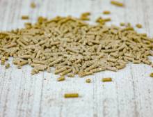 Nos prestations sur le secteur de Casteljaloux proche de Marmande