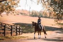 Nos prestations sur le secteur de Barbaste en lot et Garonne