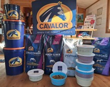 Nos prestations sur le secteur de Casteljaloux proche de Marmande