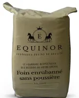 Notre zone d'activité pour ce service Comment soigner la dermite estivale chez le cheval à